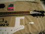Rickenbacker 480/6 , Eggplant: Neck - Front