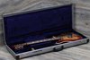Rickenbacker 660/12 TP, Fireglo: Free image
