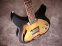 Rickenbacker 330/6 Capri, Two tone brown: Neck - Front