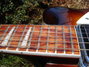 Rickenbacker 365/6 VP, MonteBrown: Neck - Front