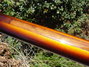 Rickenbacker 365/6 VP, MonteBrown: Neck - Rear