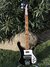 Rickenbacker 4003/4 , Jetglo: Full Instrument - Front