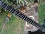 Rickenbacker 4003/4 Blackstar, Jetglo: Neck - Front