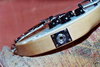 Rickenbacker 610/6 Refin, Mapleglo: Close up - Free