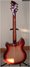 Rickenbacker 360/6 , Fireglo: Full Instrument - Rear