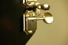 Rickenbacker 360/12 C63, Jetglo: Close up - Free