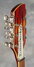 Rickenbacker 330/12 S, Fireglo: Free image