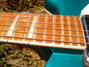 Rickenbacker 360/6 , Turquoise: Neck - Front
