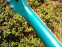Rickenbacker 360/6 , Turquoise: Neck - Rear