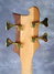 Rickenbacker 4004/4 Ci, Natural Walnut: Headstock - Rear