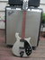 Rickenbacker 610/12 BH BT, Silver: Full Instrument - Front