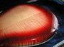 Rickenbacker 660/6 , Fireglo: Free image
