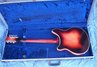 Rickenbacker 360/12 Mod, Fireglo: Full Instrument - Rear