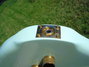 Rickenbacker 4004/4 Cii, Blue Boy: Free image2
