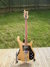 Rickenbacker 480/6 BT, Mapleglo: Full Instrument - Front