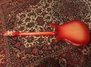 Apr 1967 Rickenbacker 615/6 , Fireglo: Full Instrument - Rear