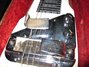 Rickenbacker 100/6 LapSteel, White: Free image