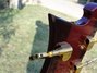Rickenbacker 4004/4 Cii, Trans Red: Free image