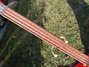 Rickenbacker 4004/4 Cii, Trans Red: Neck - Front