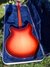 Rickenbacker 360/12 , Fireglo: Full Instrument - Rear