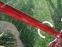 Rickenbacker 4001/4 , Burgundy: Neck - Rear