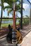 Rickenbacker 325/6 V59, Jetglo: Full Instrument - Front