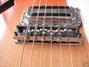 Rickenbacker 335/6 , Fireglo: Close up - Free2