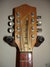 Rickenbacker 5002/8 V58, Mapleglo: Headstock