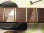 Rickenbacker 460/6 , Fireglo: Neck - Front