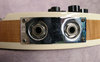 Rickenbacker 360/12 , Mapleglo: Free image2