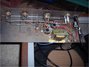 Rickenbacker M-8E/amp , Brown: Close up - Free