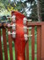 Rickenbacker 660/6 , Fireglo: Headstock - Rear