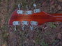 Rickenbacker 335/6 , Fireglo: Headstock - Rear