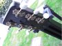 Rickenbacker B/6 LapSteel, Black: Headstock - Rear
