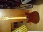 Rickenbacker 430/6 Mod, Brown: Neck - Front