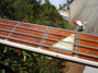 Rickenbacker 4003/4 , Midnightblue: Neck - Front