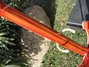 Rickenbacker 4001/4 , Fireglo: Neck - Rear