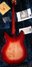 Rickenbacker 330/6 , Fireglo: Full Instrument - Rear