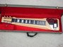 Rickenbacker 102/6 LapSteel, Natural: Full Instrument - Front