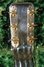 Rickenbacker NS 100/6 LapSteel, Silver: Headstock - Rear