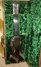 Rickenbacker NS 100/6 LapSteel, Silver: Full Instrument - Rear