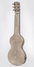 Rickenbacker NS 100/6 LapSteel, Silver: Full Instrument - Rear