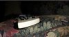 Rickenbacker 360/6 BH BT, White: Neck - Front