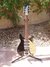 Rickenbacker 325/6 C58, Jetglo: Full Instrument - Front