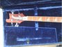 Sep 1974 Rickenbacker 4001/4 , Burgundy: Headstock