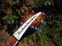 Rickenbacker 365/6 VB VP, MonteBrown: Headstock