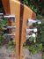 Rickenbacker 330/6 VP, Mapleglo: Headstock - Rear