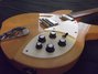 Rickenbacker 330/6 VP, Mapleglo: Body - Front