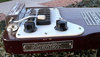 Rickenbacker 102/6 LapSteel, Eggplant: Close up - Free