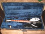 Rickenbacker 360/12 , Jetglo: Free image